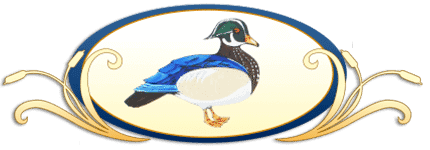 The Wooden Duck